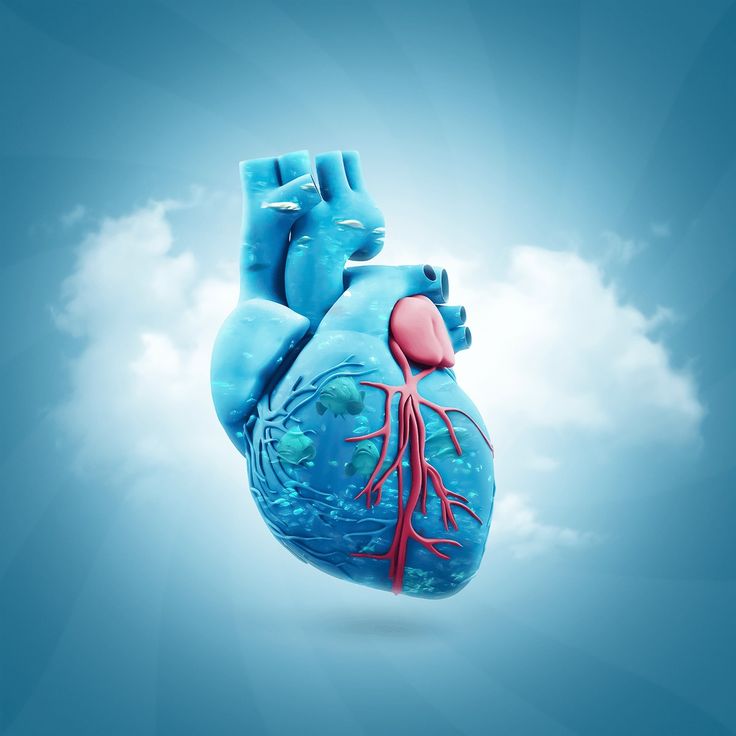 World Heart Day Heart Check-Up